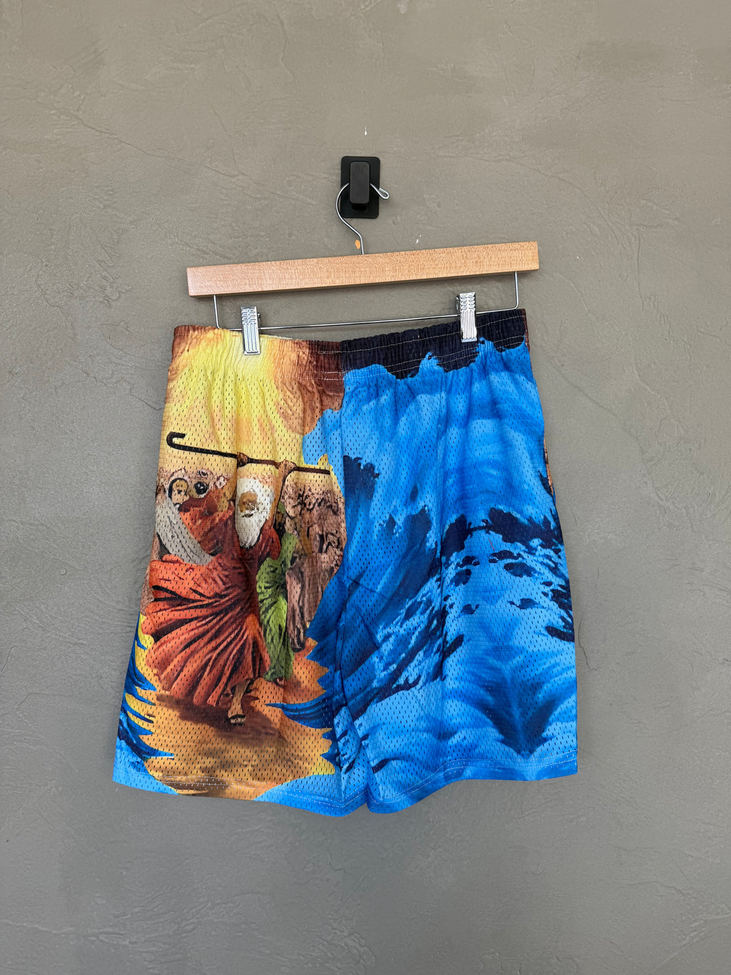 Moses Mesh Shorts