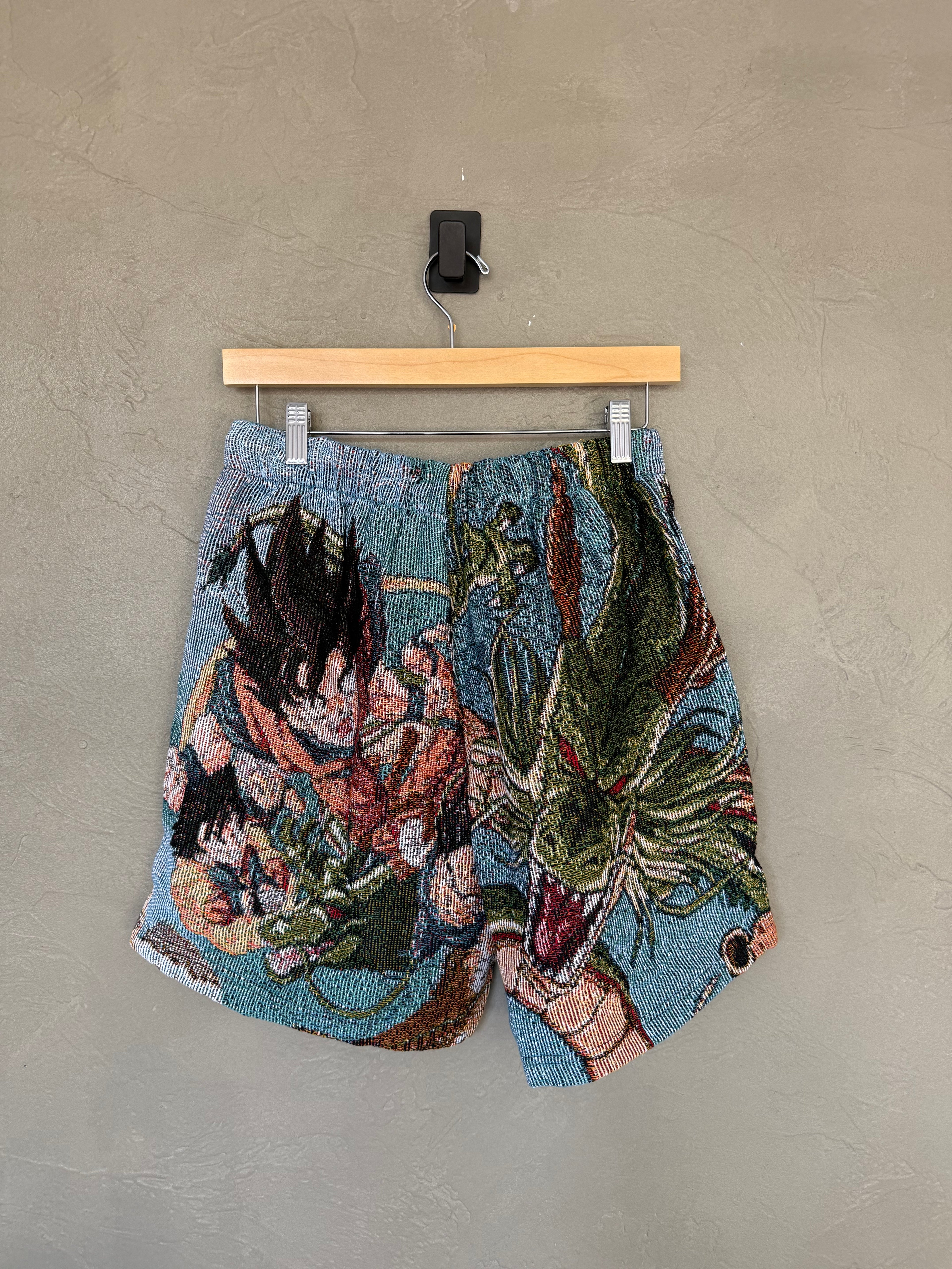 DBZ Tapestry Shorts
